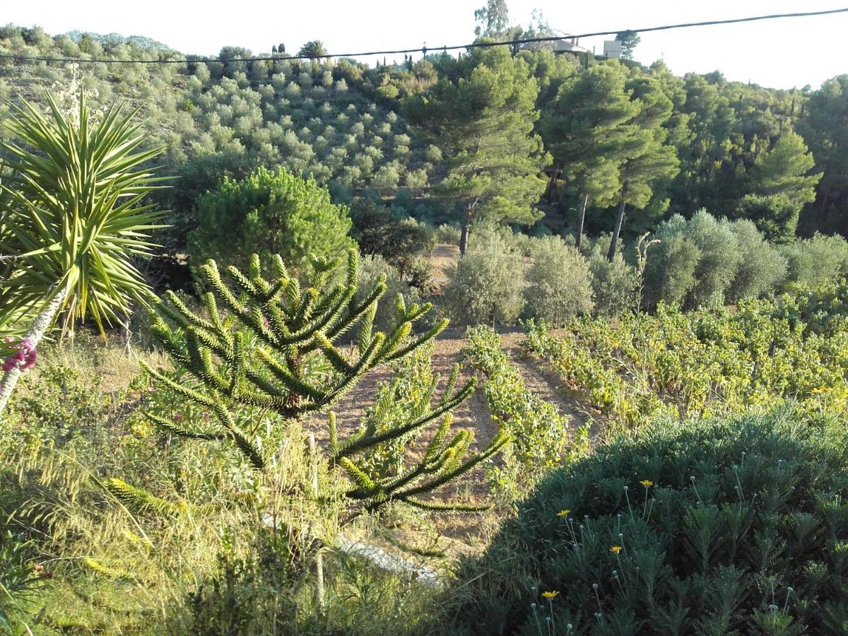 La Bastide De L'Oliveraie Le Castellet  Eksteriør billede