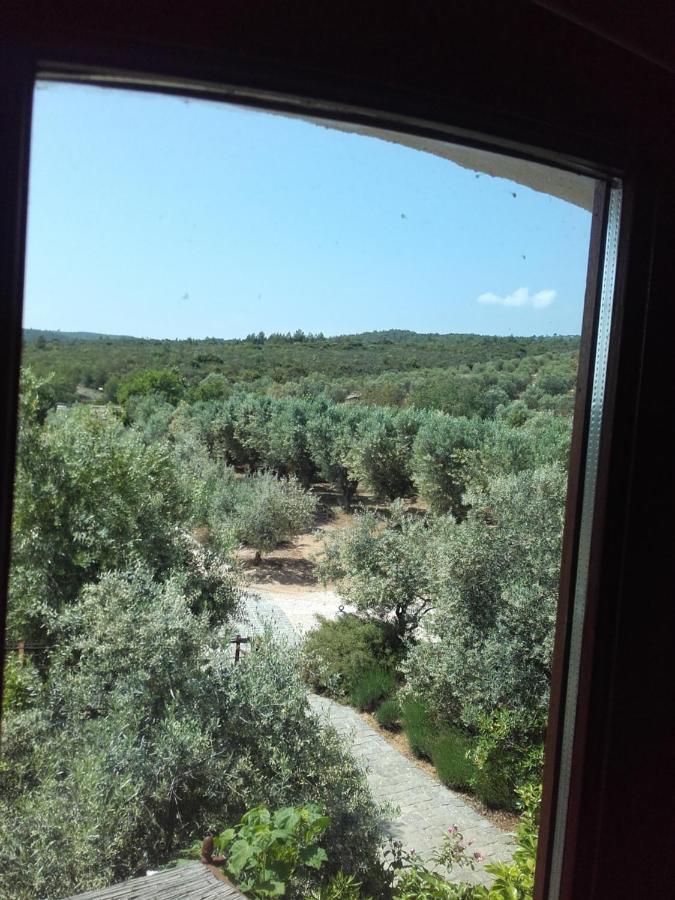 La Bastide De L'Oliveraie Le Castellet  Eksteriør billede