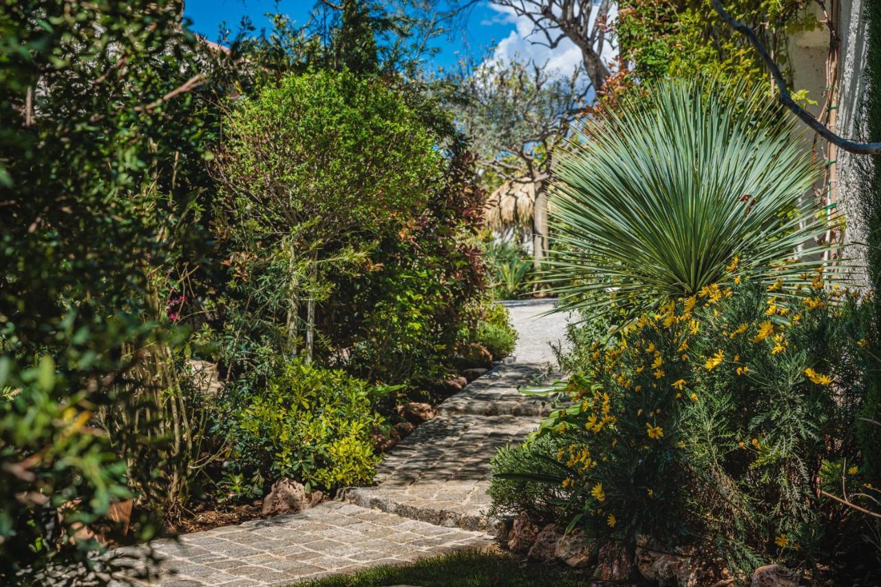 La Bastide De L'Oliveraie Le Castellet  Eksteriør billede